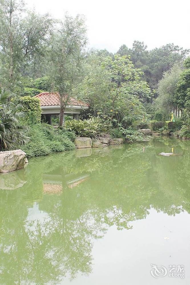 Grace Garden Hotel 庆元 外观 照片